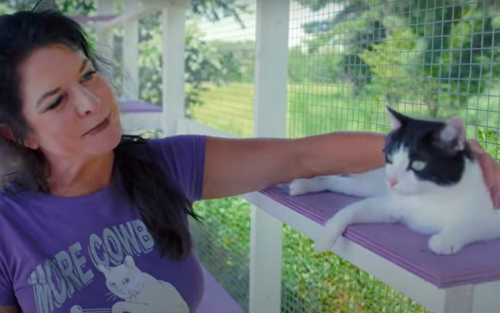 Cute cats are here! The official trailer for the documentary "Cat People" released.