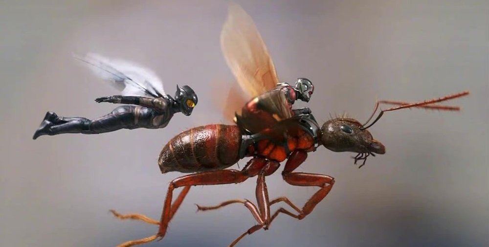 Marvel's new film "Ant-Man and the Wasp: Quantumania" starts shooting, director Peyton Reed shares the shooting scene photos.