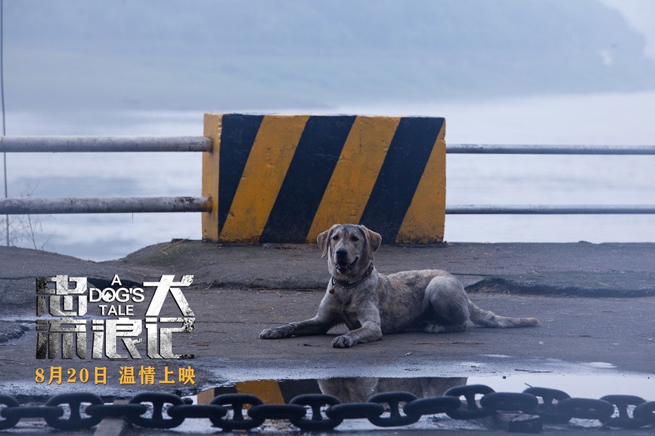 The film "A Dog's Tale" adapted from the true story will be released soon