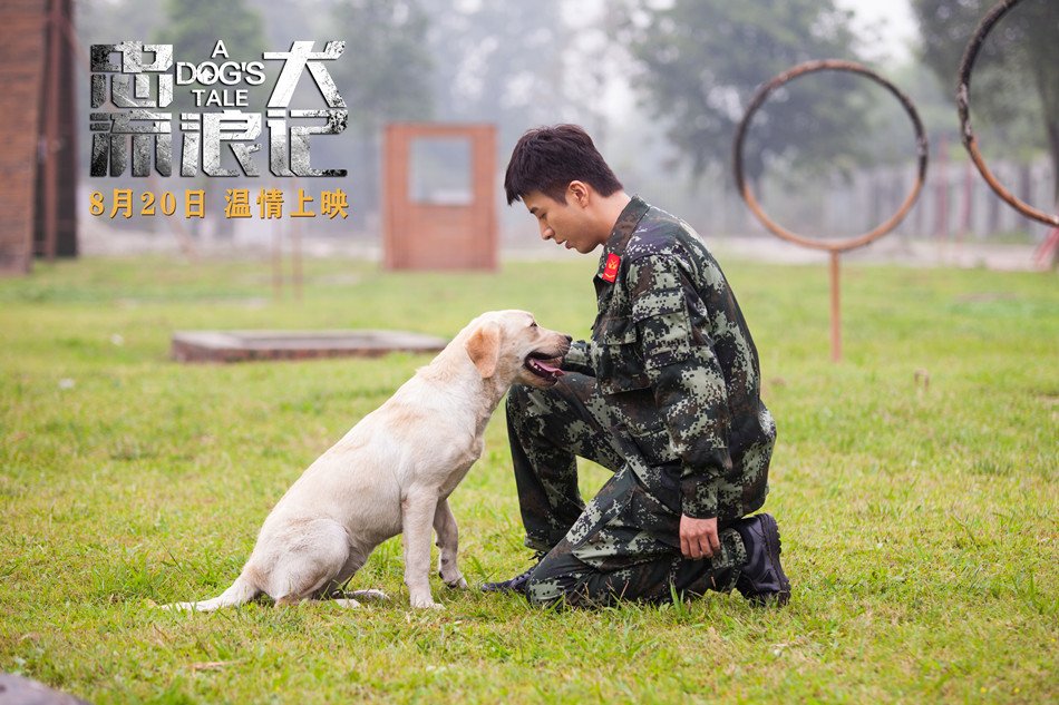 The film "A Dog's Tale" adapted from the true story will be released soon