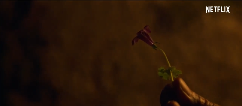 The latest trailer for Gianna Jun's "Kingdom: Ashin of the North" revealed