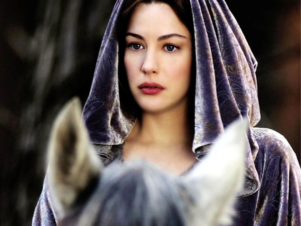 The 16 Cast of "The Lord of the Rings", a comparison of the past and the present in 20 years (2)