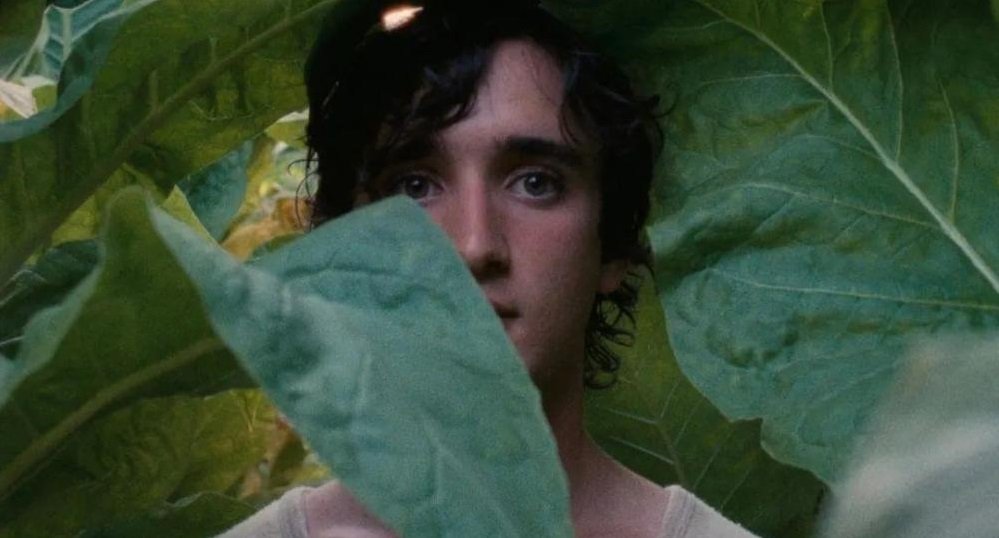 "The Lighthouse" takes you to feel the primitive fear in the ancestral image