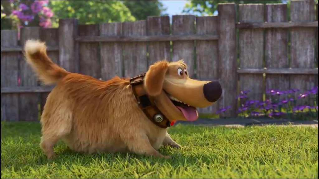 "Up" spin-off series "Dug Days" revealed the official trailer