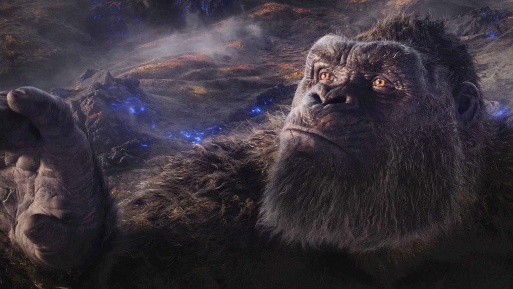 Where is the monster universe going after "Godzilla vs. Kong"?