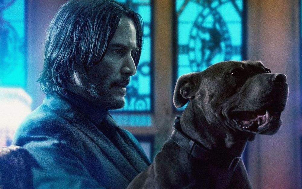 5 amazing revenge movies, how many have you watched?