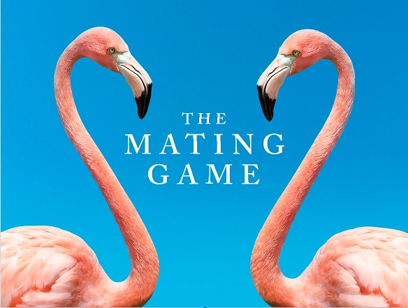 BBC’s new work "The Mating Game" was launched on October 4th