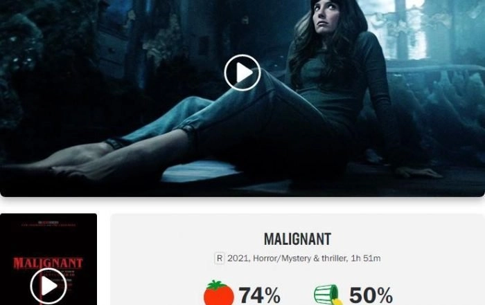 "Malignant" was recognized by film critics, but the audience did not buy it