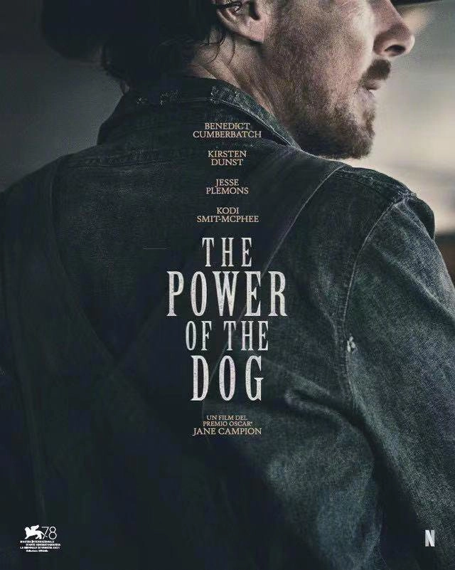 "The Power of the Dog" premiere reputation big explosion, Benedict acting won high appreciation