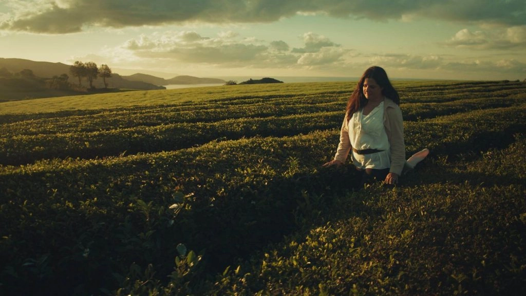 BBC Studios’ new work "One Cup, A Thousand Stories" took three years to shoot, covering 13 countries and regions on six continents