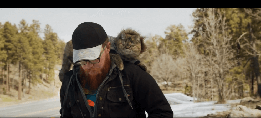 "Cat Daddies" is revealed, men also love to raise cats!