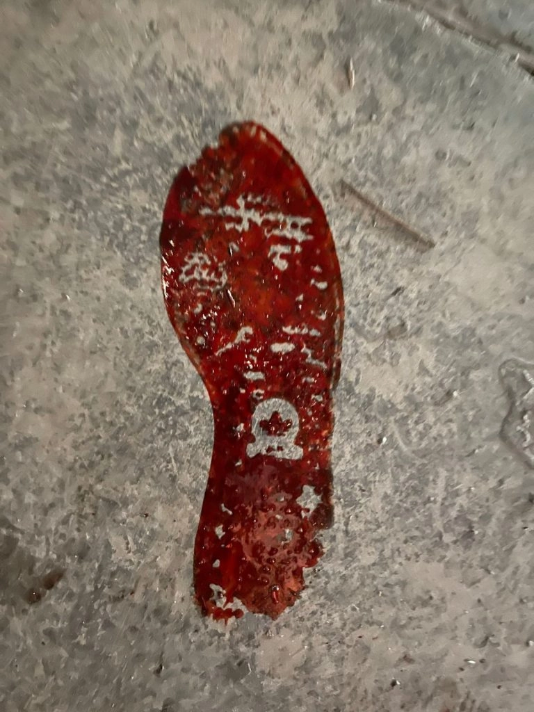 "Evil Dead Rise" officially ends shooting, Lee Cronin exposes bloody behind-the-scenes photos