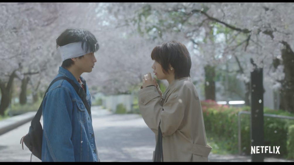 Netflix love movie "桜のような僕の爱人" released a trailer