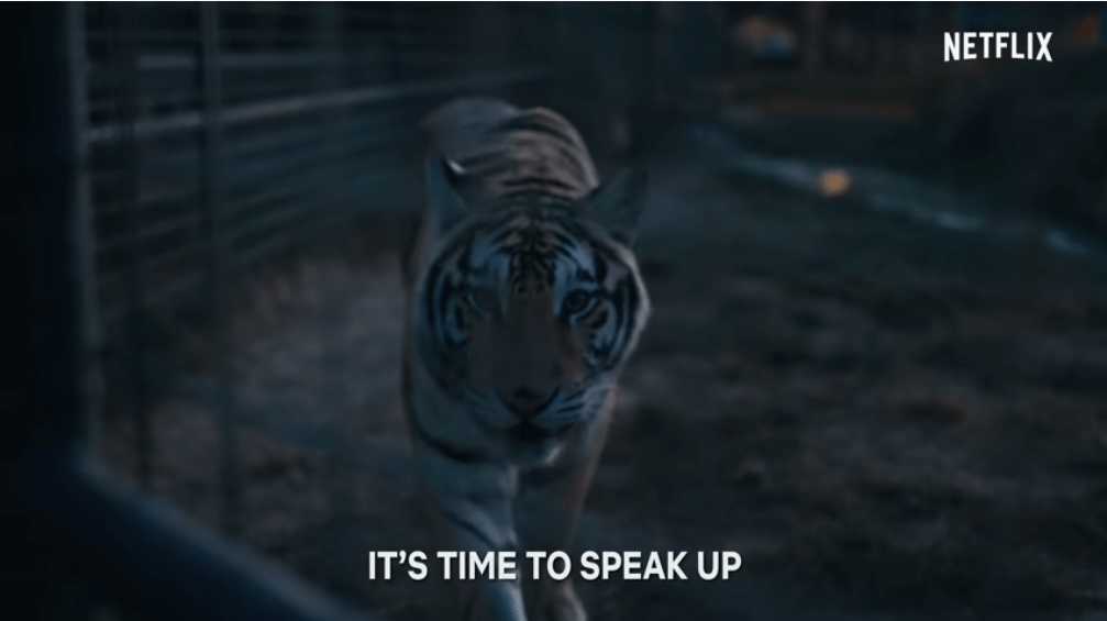 Netflix's "Tiger King 2 Season 2" releases the official trailer
