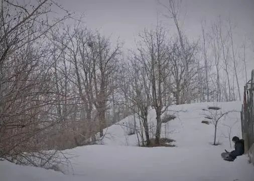 "Brother's Keeper": The film uses a seemingly everyday story to make a sharp satire on bureaucracy and authority!