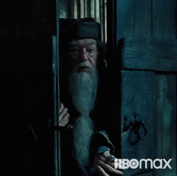 "Harry Potter 20th Anniversary: Return to Hogwarts": The major casts reunited to celebrate Harry Potter's 20th anniversary