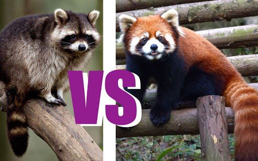 Pixar's "Turning Red" reveals the Japanese version of the trailer and poster