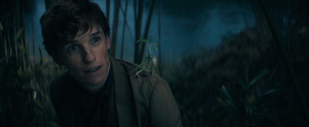 "Fantastic Beasts: The Secrets of Dumbledore" revealed the first official trailer