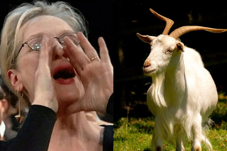 Meryl Streep was called "Goat" by Jennifer Lawrence at the shooting site of "Don't Look Up"?