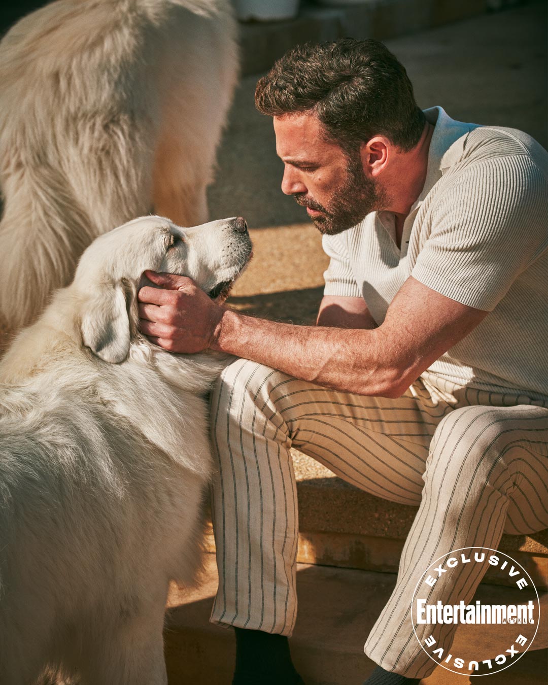 Ben Affleck The movie market has changed so much that Argo can't go to theaters now-4