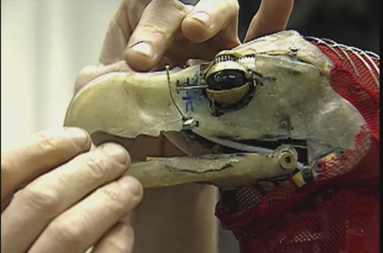 "Return to Hogwarts":Reunited after 20 years to reminisce the story of Harry Potter