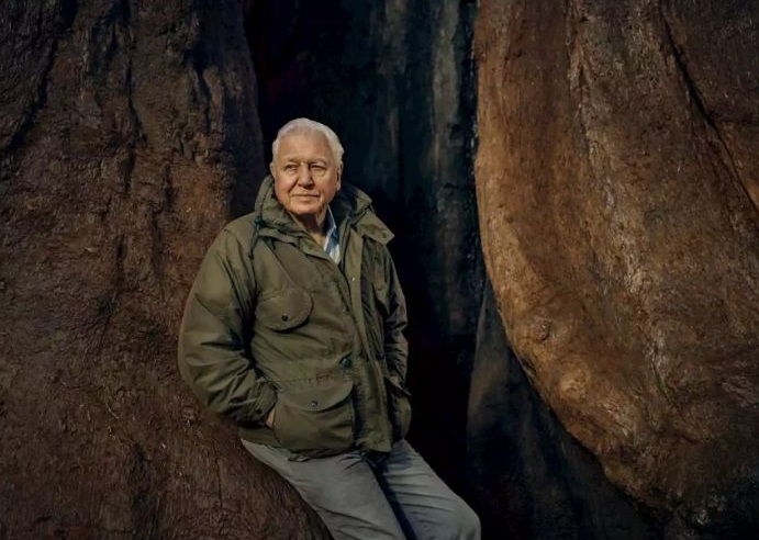 "The Green Planet" Review: Another Excellent Nature Documentary by BCC