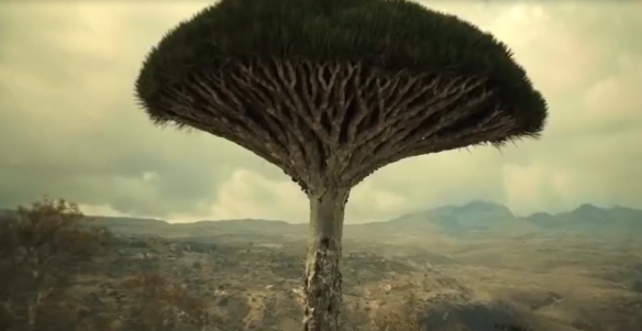 The drama version Snowpiercer Season 3 released an official trailer it will be released on January 24-2