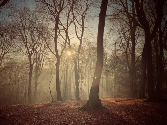 the-producer-leads-the-team-to-scout-the-scene-and-netflix-is-about-to-start-the-production-of-the-witcher-season-3-2