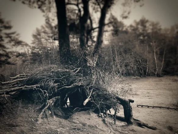 the-producer-leads-the-team-to-scout-the-scene-and-netflix-is-about-to-start-the-production-of-the-witcher-season-3-3