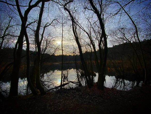 the-producer-leads-the-team-to-scout-the-scene-and-netflix-is-about-to-start-the-production-of-the-witcher-season-3-6