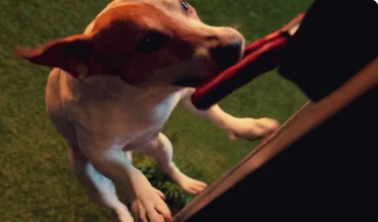 "Bigbug" Review: 2022 Netflix R-rated sci-fi comedy robot counterattacks humans!