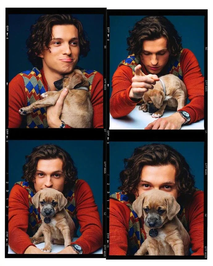 New photo of Tom Holland and the dog