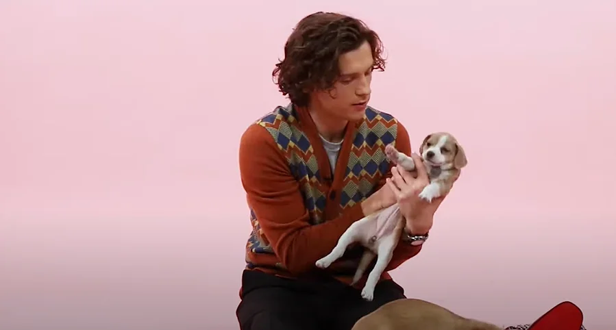 Tom Holland: The Puppy Interview