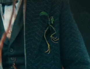 Cute bowtruckle in "Fantastic Beasts: The Secrets of Dumbledore" trailer