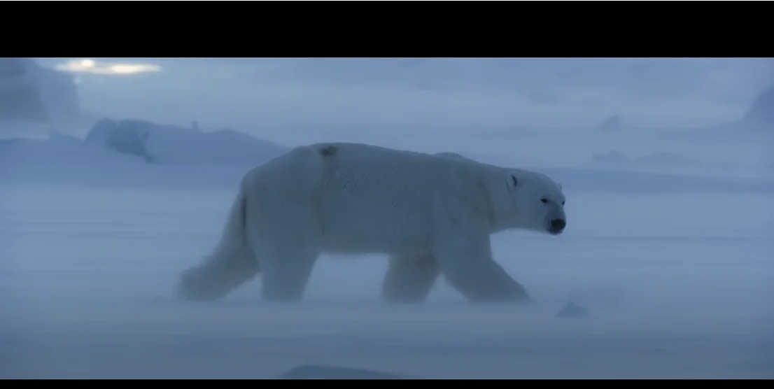 disneynatures-new-documentary-polar-bear-releases-official-trailer-and-poster-2