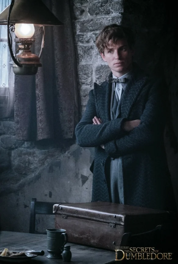 "Fantastic Beasts: The Secrets of Dumbledore" exposed new stills, many protagonists appeared