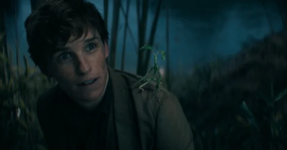"Fantastic Beasts: The Secrets of Dumbledore" exposed new stills, many protagonists appeared