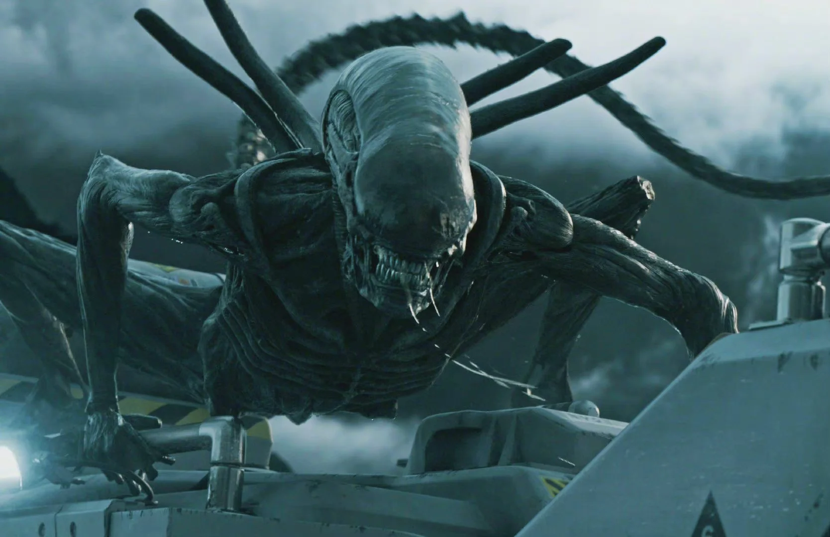 Federico Alvarez to collaborate with Ridley Scott on "Untitled Alien: Covenant Sequel"