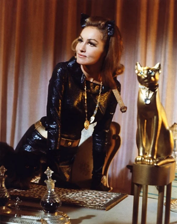Inventory of the hottest catwoman in the history of "Batman"! Who is the hottest villain in the series?
