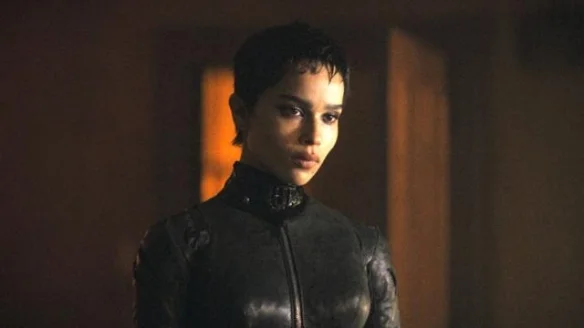 Inventory of the hottest catwoman in the history of "Batman"! Who is the hottest villain in the series?