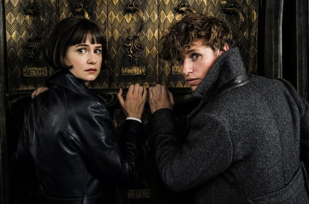 Eddie Redmayne says he wants to see more Newt and Tina scenes