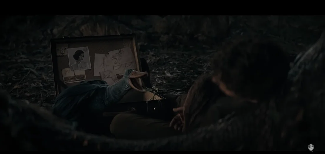 Final trailer for "Fantastic Beasts: The Secrets of Dumbledore", wizards, wands ready!