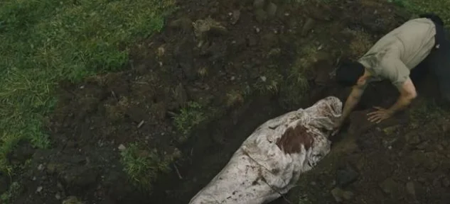 "From" RottenTomatoes is 93% fresh, "Lost" director's new drama