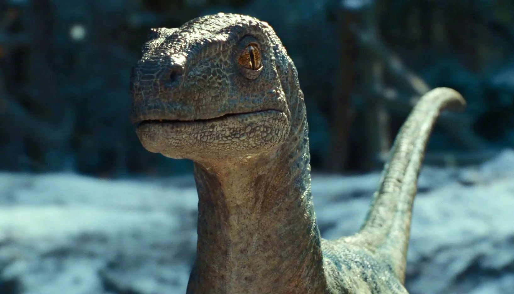 'Jurassic World: Dominion' Releases New Trailer, Velociraptor Blue's Baby Has Been Abducted