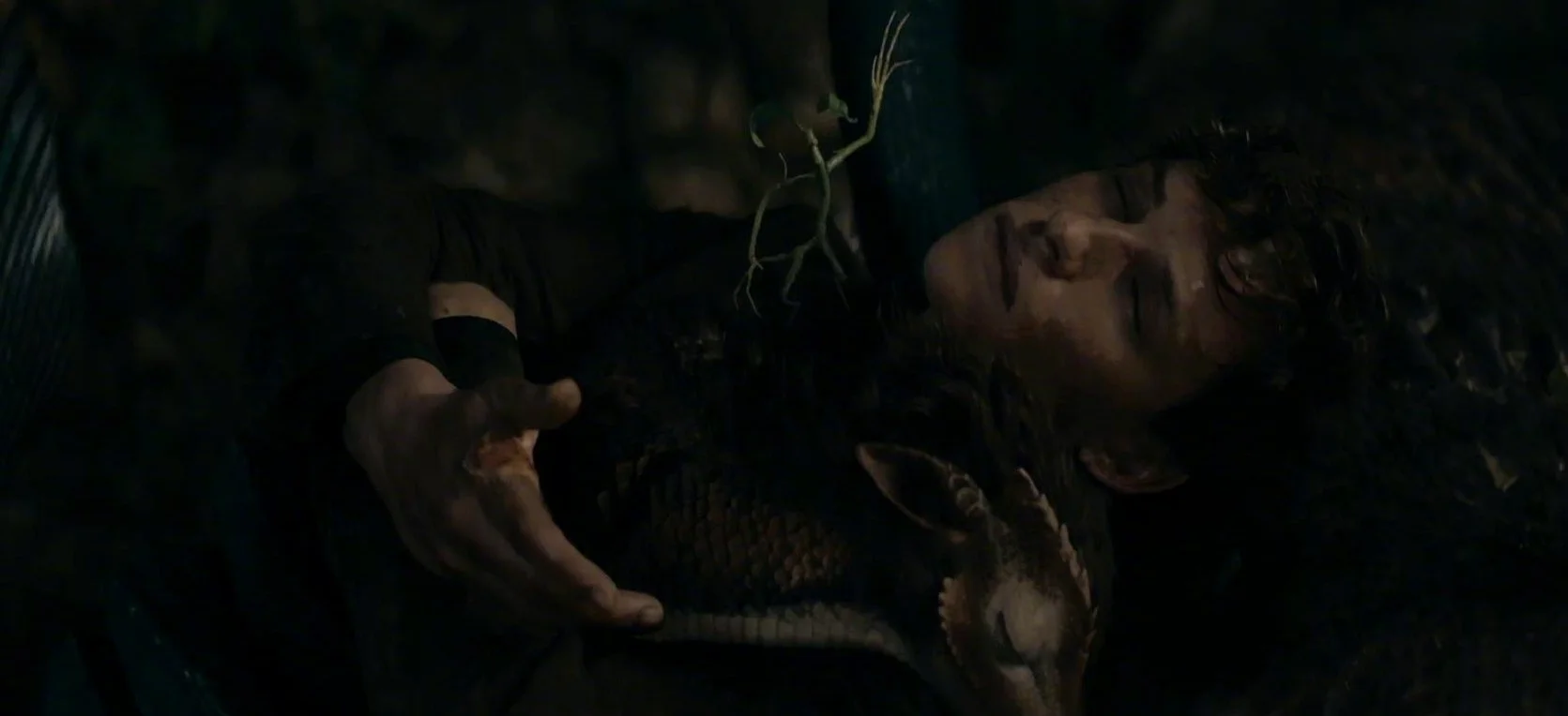 Qi Lin, who was held in Newt's arms, revealed its true face