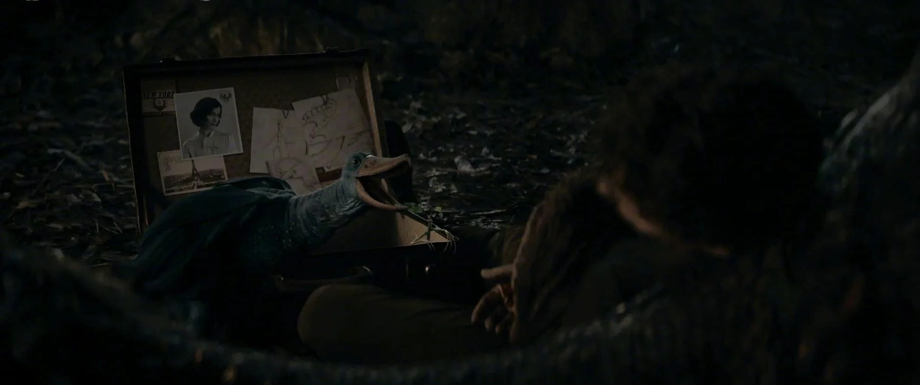 Qi Lin, who was held in Newt's arms, revealed its true face