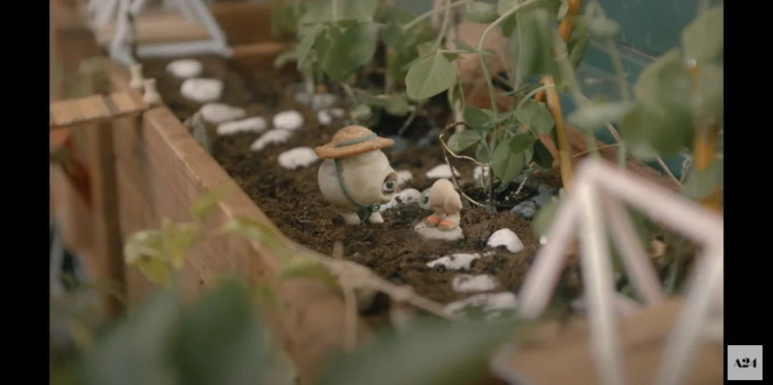 stop-motion-comedy-animation-marcel-the-shell-with-shoes-on-releases-official-trailer-it-will-be-released-on-june-24-1