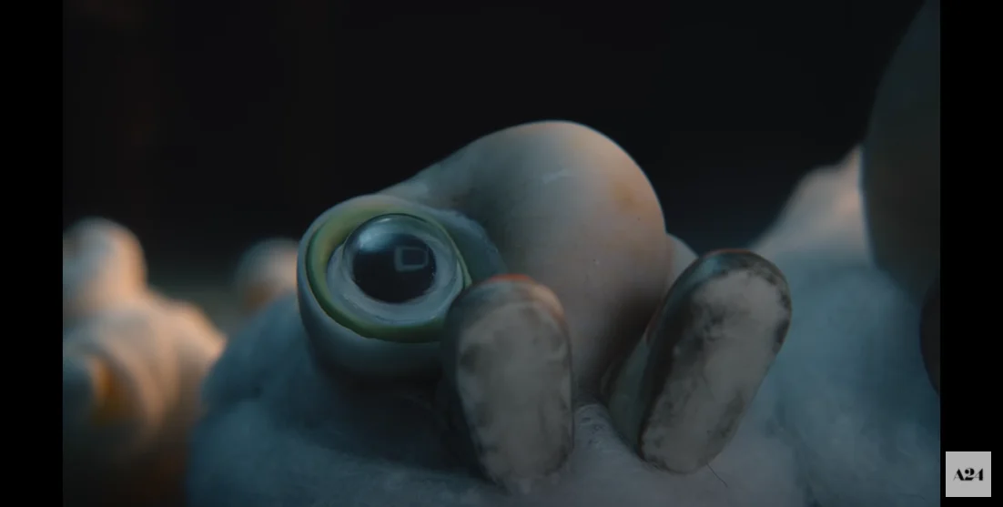 stop-motion-comedy-animation-marcel-the-shell-with-shoes-on-releases-official-trailer-it-will-be-released-on-june-24-4