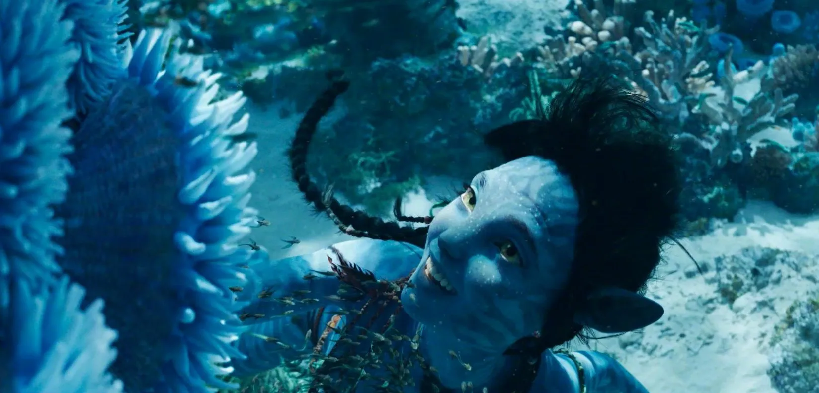 "Avatar: The Way of Water" Releases New Trailer and Poster, Is She the Heroine? The girl who swims underwater. ​​​​