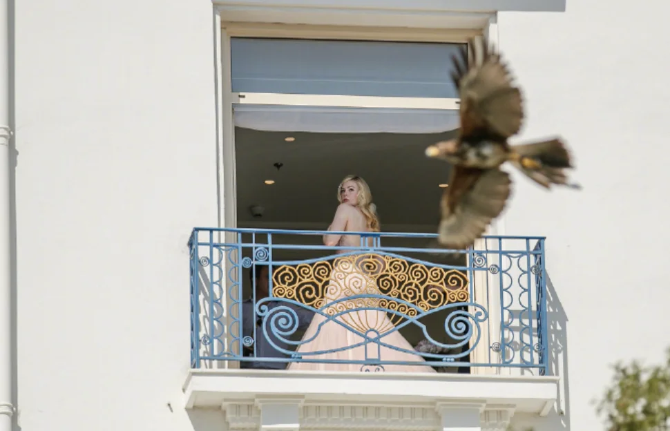 Elle Fanning stayed at the hotel in Cannes and watched the birds fly